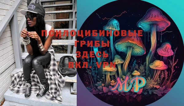 Альфа ПВП Бугульма