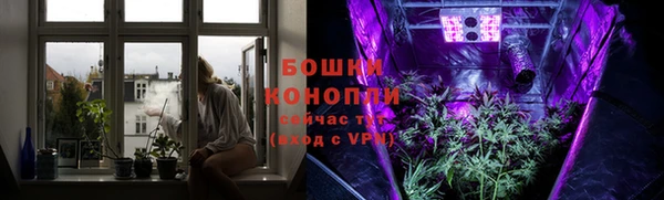 Альфа ПВП Бугульма