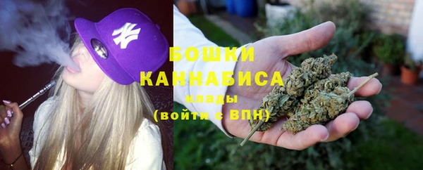 Альфа ПВП Бугульма
