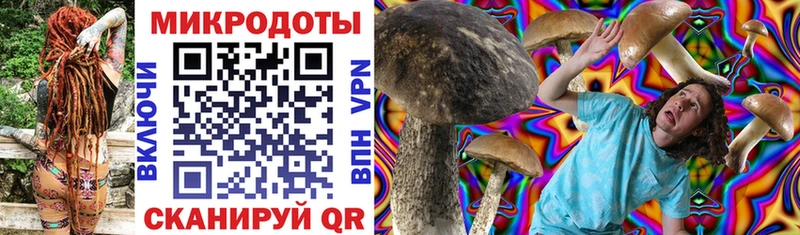 KRAKEN ССЫЛКА  Томилино  Псилоцибиновые грибы MAGIC MUSHROOMS 